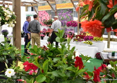 At the Windmill location. Steve Rinehart and Andreas Kientzler of Kientzler, talking with visitors.